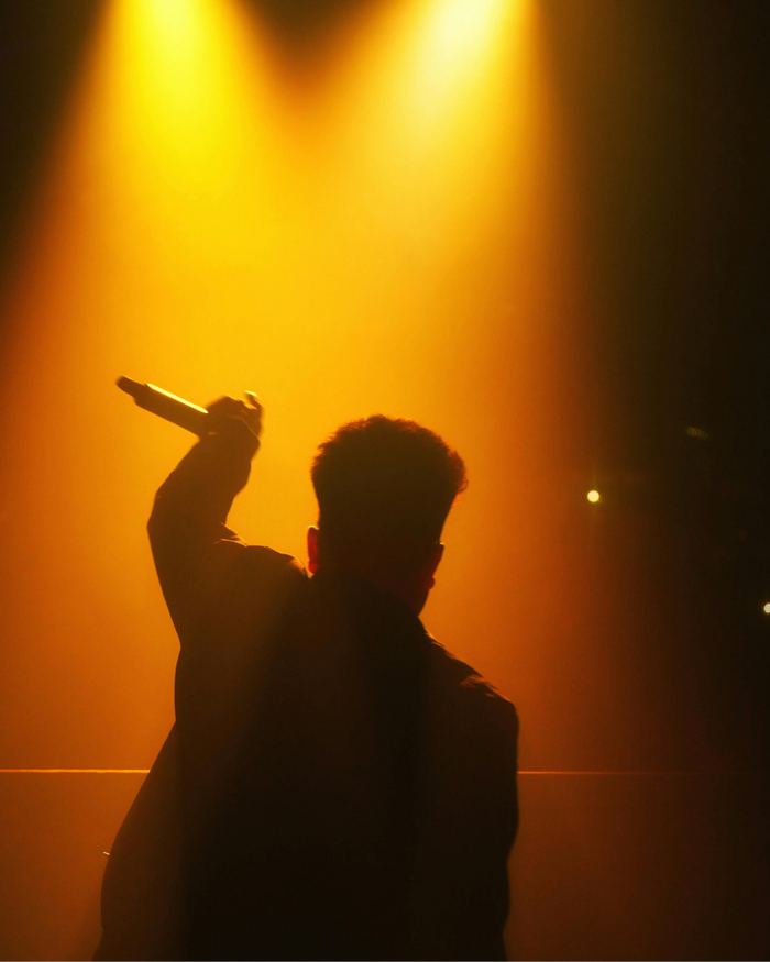 Solo Artist